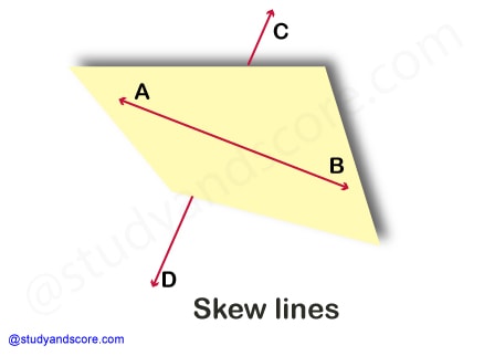 horizontal line, vertical line, skew line, intersecting line, transversal line, straight line, derivatives of straight line, oblique line, curved line, parallel line, perpendicular line